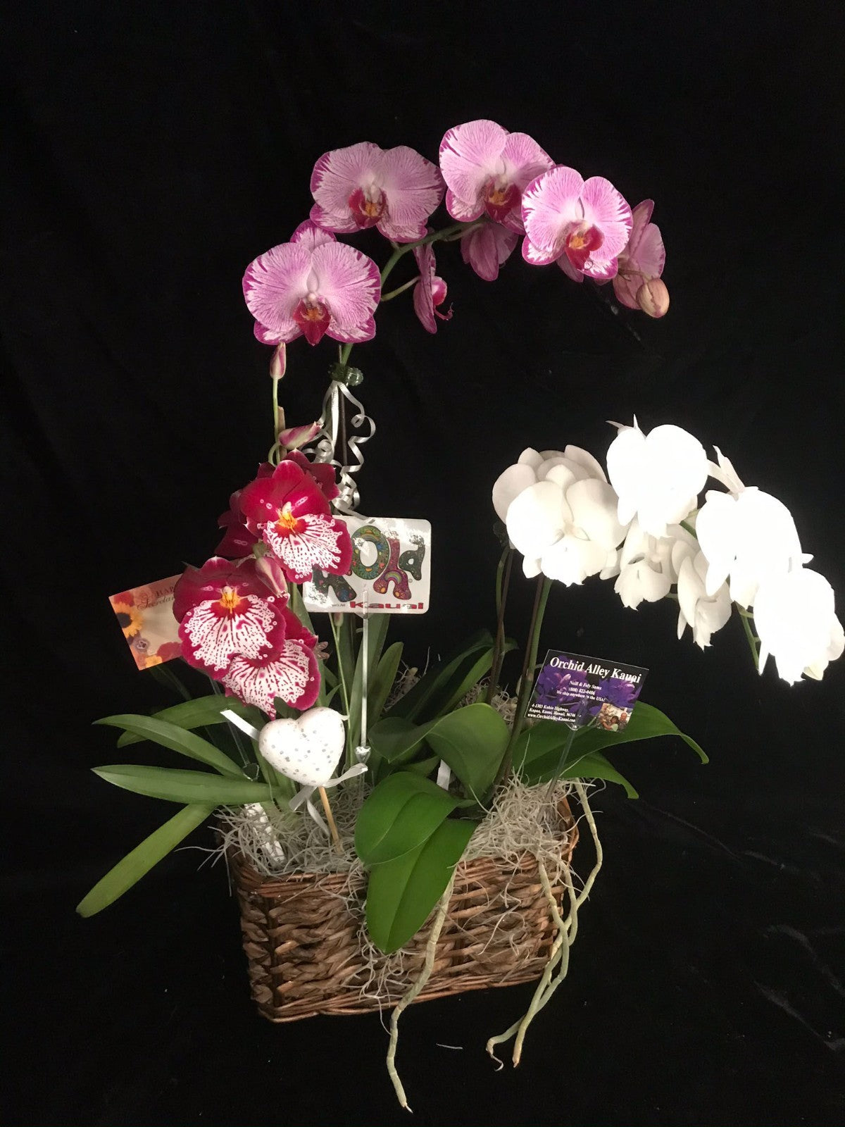 The Triple Orchid Gift Basket