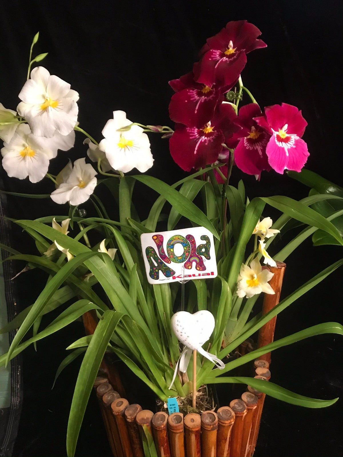 The Triple Orchid Gift Basket