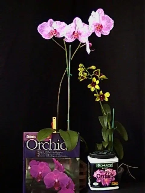 The Beginners Kit:  Dendrobium. Phalaenopsis, Oncidium, Fertilizer, Bark & Growing Instructions