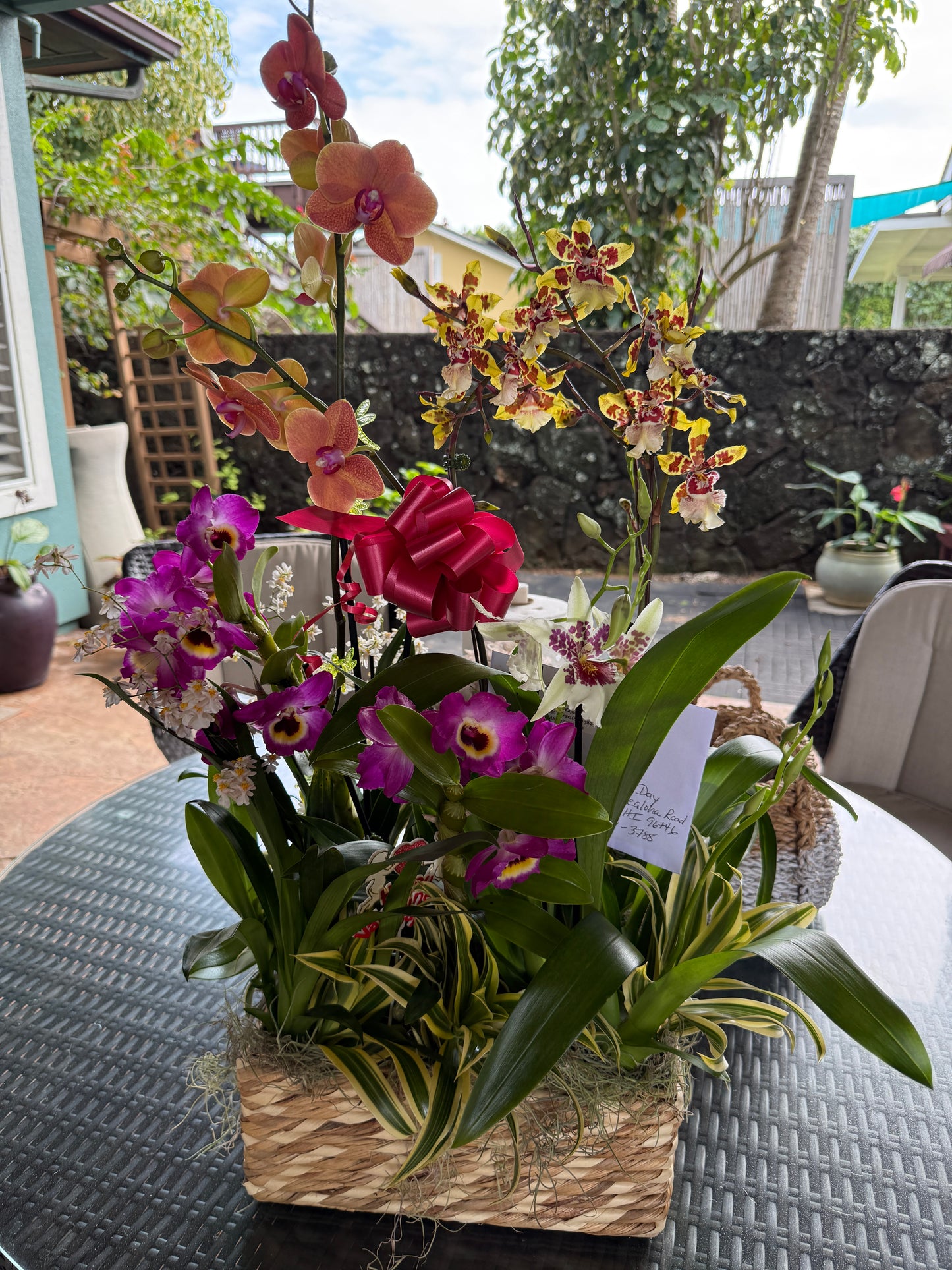The "Mayor's Basket" 5 Orchid Gift Basket