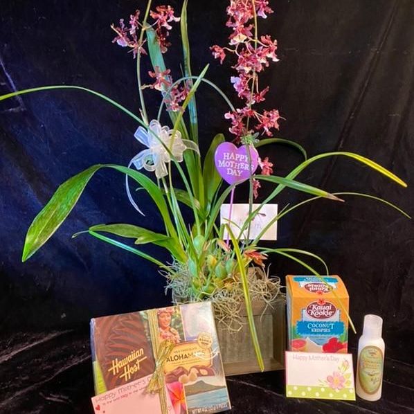 The Chocolate Lovers Delight Orchid Gift Basket