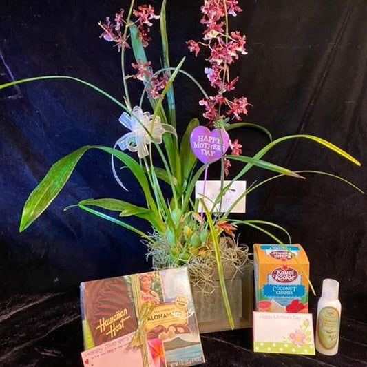The Chocolate Lovers Delight Orchid Gift Basket